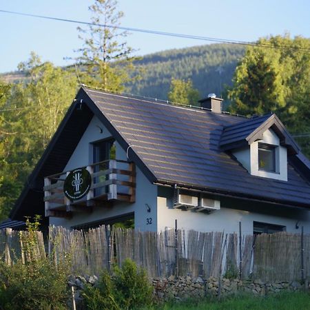 Ski House Szczyrk - Czyrna Exterior foto